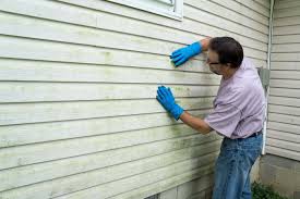 Best Storm Damage Siding Repair  in Malta, IL